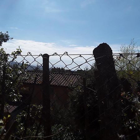 Villetta A Schiera Nei Pressi Del Mare Livourne Extérieur photo